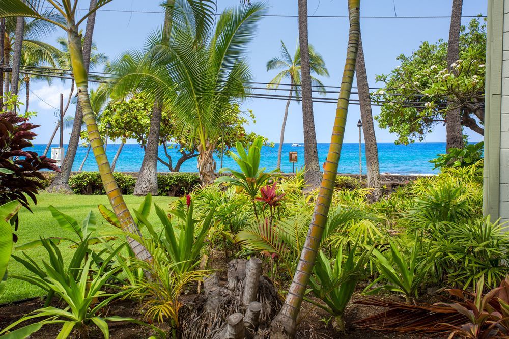 Vacation Condos In Kona Kailua-Kona Extérieur photo